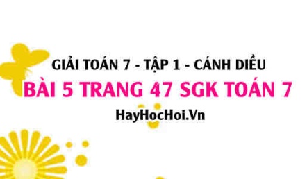 Giải bài 5 trang 47 Toán 7 Tập 1 SGK Cánh Diều
